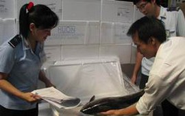 Điều chỉnh phí kiểm tra sản phẩm động vật tạm nhập tái xuất